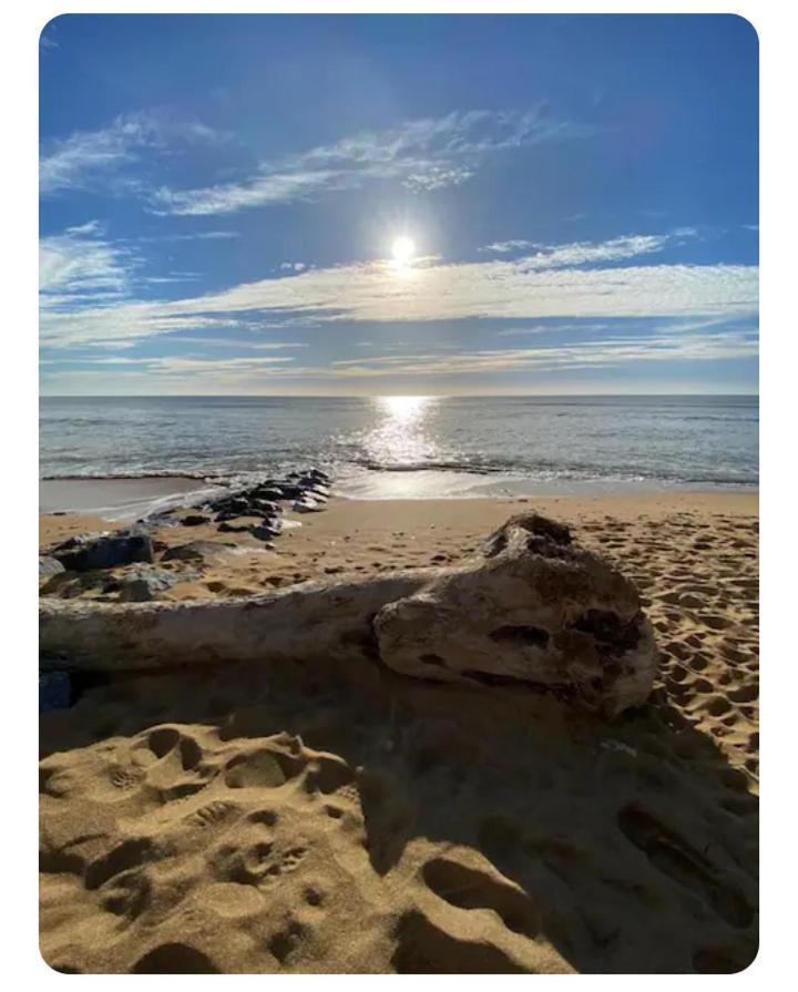 Les Pieds Dans L'Eau Acces Direct A La Plage La Cotinière Exteriör bild