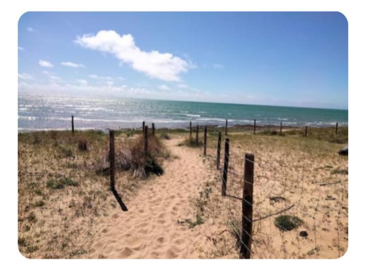 Les Pieds Dans L'Eau Acces Direct A La Plage La Cotinière Exteriör bild